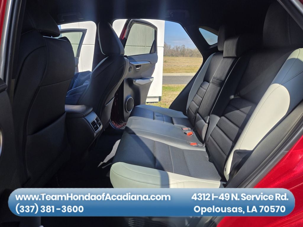 2021 Lexus NX 300 F SPORT