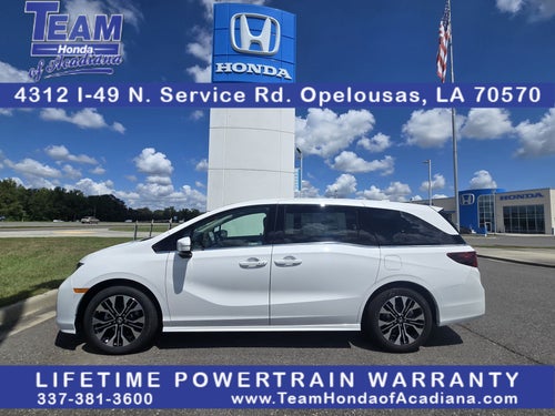 2026 Honda Odyssey Elite