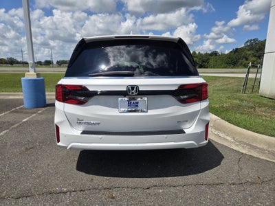 2026 Honda Odyssey Elite
