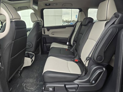 2026 Honda Odyssey Elite