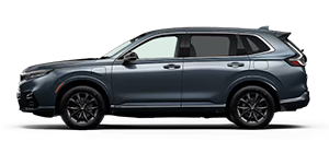 Team Honda of Acadiana in Opelousas LA